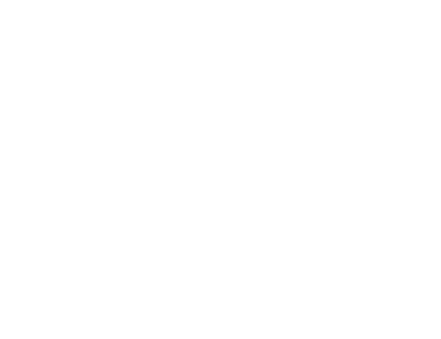 Logo UDF